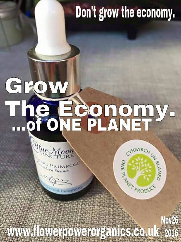 one-planet-mark-message | The One Planet Centre